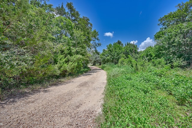 330 N Nassau Rd, Round Top, TX 78954 - photo 12