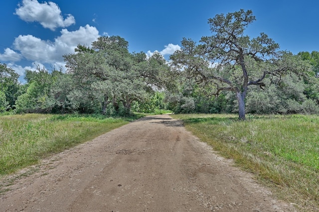 330 N Nassau Rd, Round Top, TX 78954 - photo 13