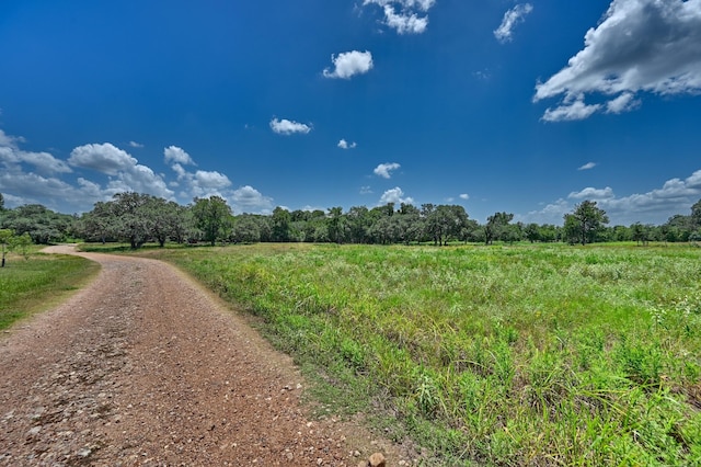 330 N Nassau Rd, Round Top, TX 78954 - photo 14