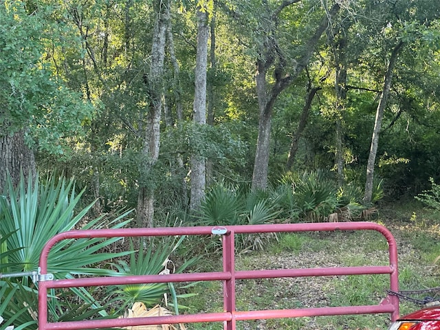 0 County Road 728c, Sweeny, TX 77480 - photo 3