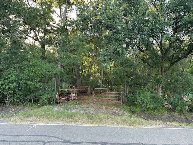 0 County Road 728c, Sweeny, TX 77480 - photo 1