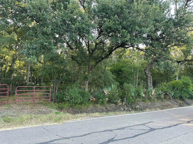 0 County Road 728c, Sweeny, TX 77480 - photo 2
