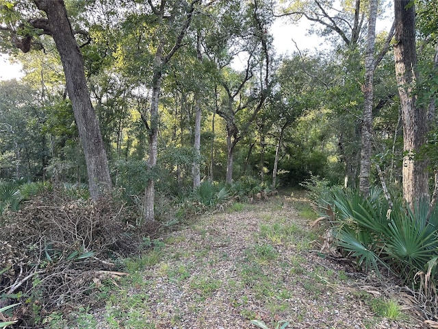 0 County Road 728c, Sweeny, TX 77480 - photo 5