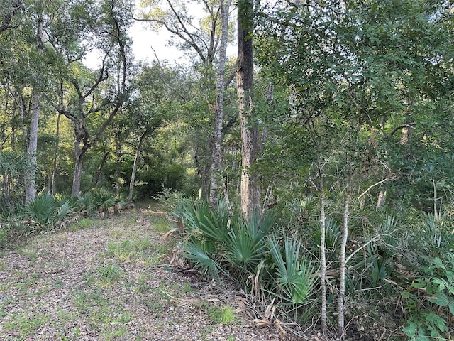 0 County Road 728c, Sweeny, TX 77480 - photo 7