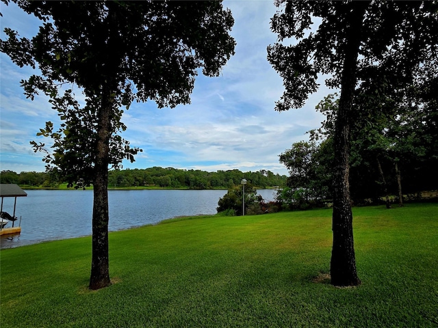 9033 Safari Shores Dr, Larue, TX 75770 - photo 32