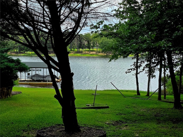 9033 Safari Shores Dr, Larue, TX 75770 - photo 38