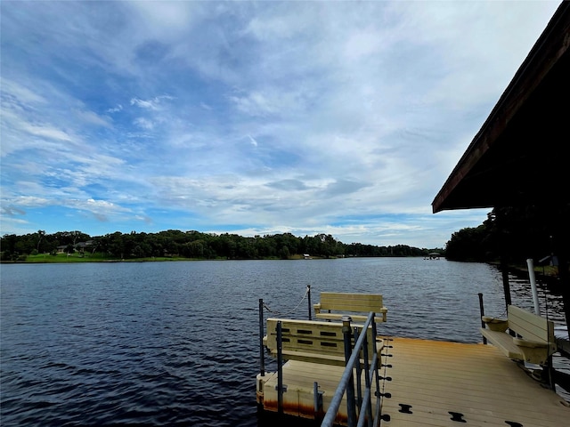 9033 Safari Shores Dr, Larue, TX 75770 - photo 39