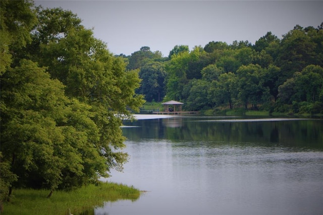 9033 Safari Shores Dr, Larue, TX 75770 - photo 42