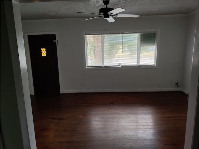 202 W Jackson Ave, Pasadena, TX 77506 - photo 4