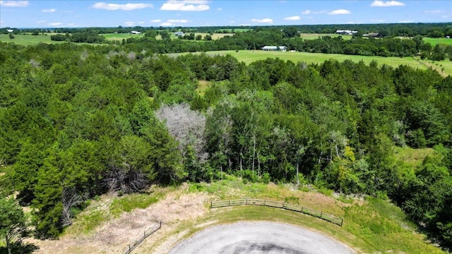 8494 Timber Cove Ln, Chappell Hill, TX 77426 - photo 3