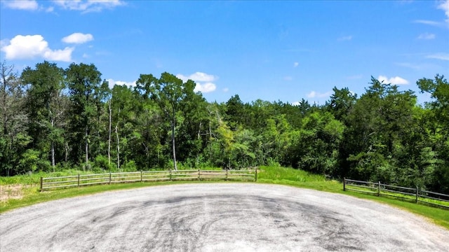 8494 Timber Cove Ln, Chappell Hill, TX 77426 - photo 4