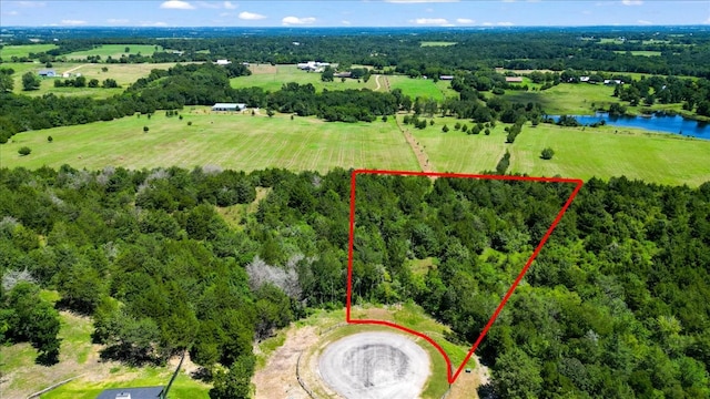 8494 Timber Cove Ln, Chappell Hill, TX 77426 - photo 2