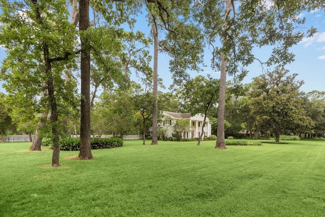 142 Hickory Ridge Dr, Houston, TX 77024 - photo 3