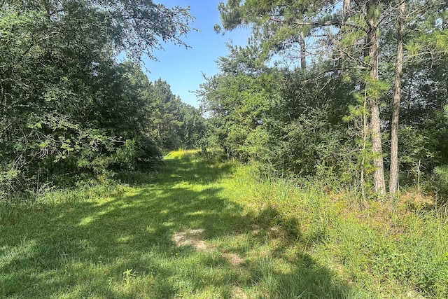878 Joe Hudson Rd, Trinity, TX 75845 - photo 19