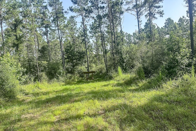 878 Joe Hudson Rd, Trinity, TX 75845 - photo 22