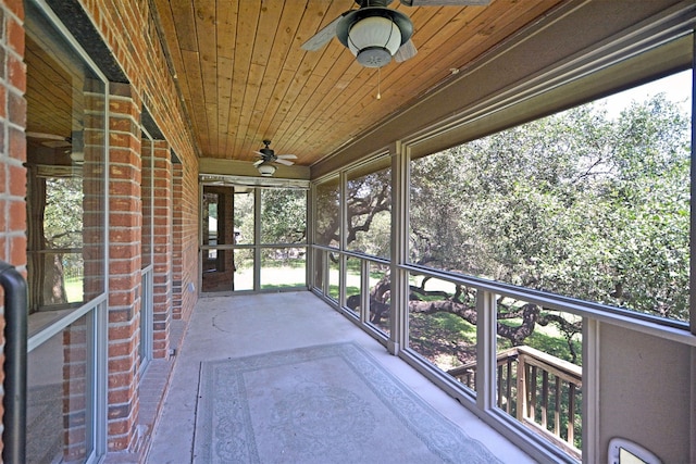 854 Santa Cruz, New Braunfels, TX 78132 - photo 39