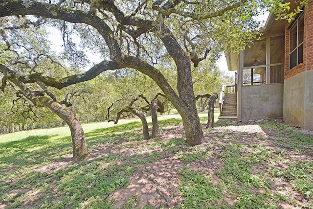 854 Santa Cruz, New Braunfels, TX 78132 - photo 45