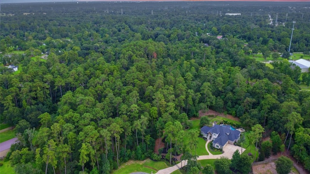 26600 Fallen Leaf Pl, Magnolia, TX 77354 - photo 45