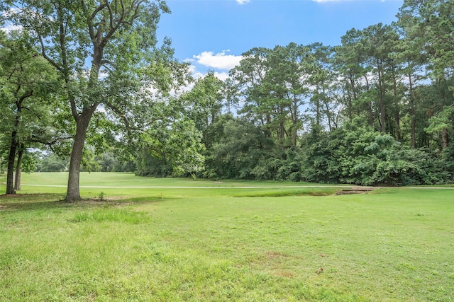 118 Sun City Ln, Conroe, TX 77304 - photo 31