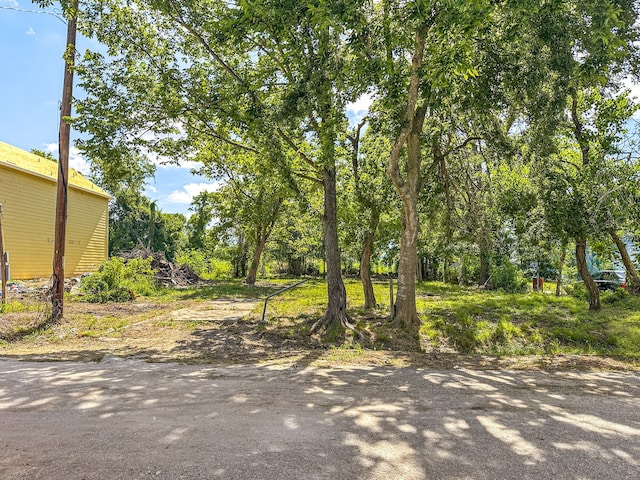 5810 Phillips St, Houston, TX 77091 - photo 12