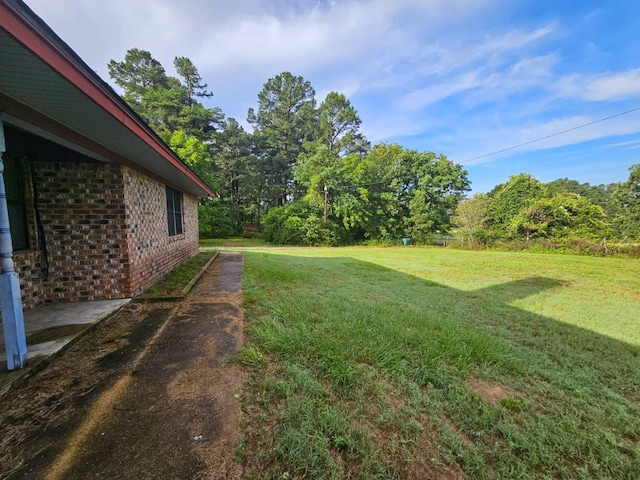 800 An County Road 414, Palestine, TX 75803 - photo 9