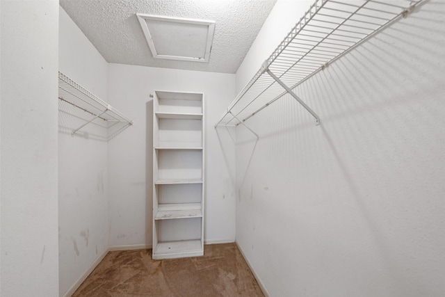 260 El Dorado Blvd Unit 1610, Webster, TX 77598 - photo 22
