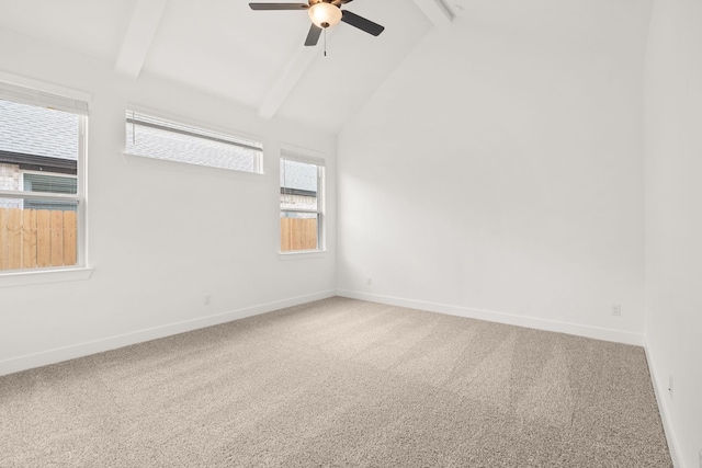 3822 Garden Hill Ln, Santa Fe, TX 77510 - photo 13