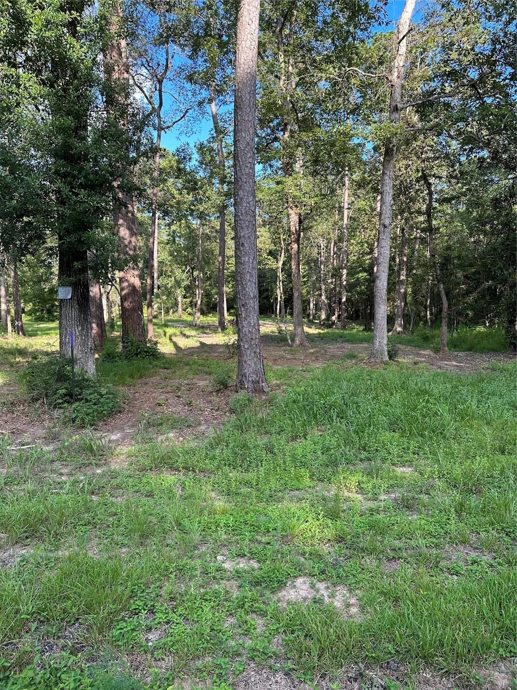 1475 Lakewood Dr, Ivanhoe, TX 75979 - photo 2