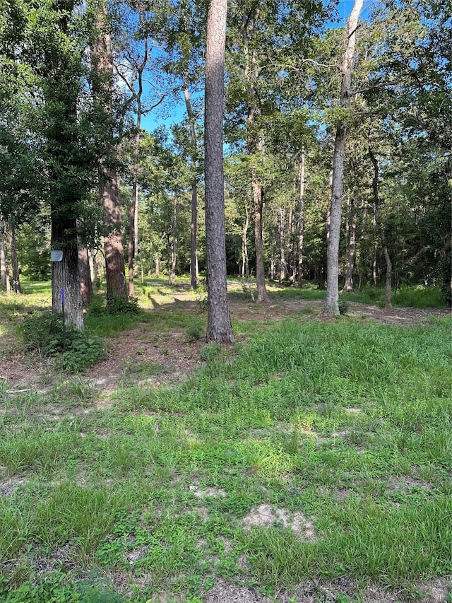 1475 Lakewood Dr, Ivanhoe, TX 75979 - photo 2