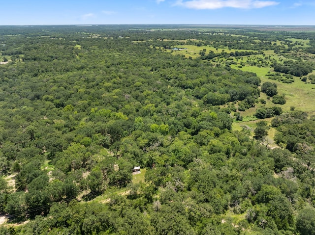 12500 Old Hearne Rd, Bryan, TX 77807 - photo 3