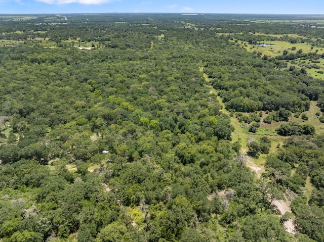 12500 Old Hearne Rd, Bryan, TX 77807 - photo 4