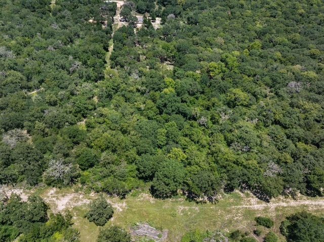12500 Old Hearne Rd, Bryan, TX 77807 - photo 5