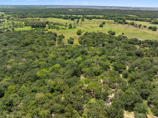 12500 Old Hearne Rd, Bryan, TX 77807 - photo 6