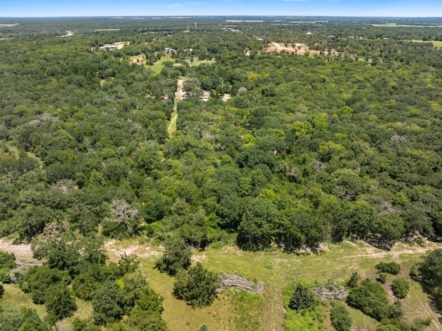 12500 Old Hearne Rd, Bryan, TX 77807 - photo 7