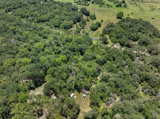 12500 Old Hearne Rd, Bryan, TX 77807 - photo 8