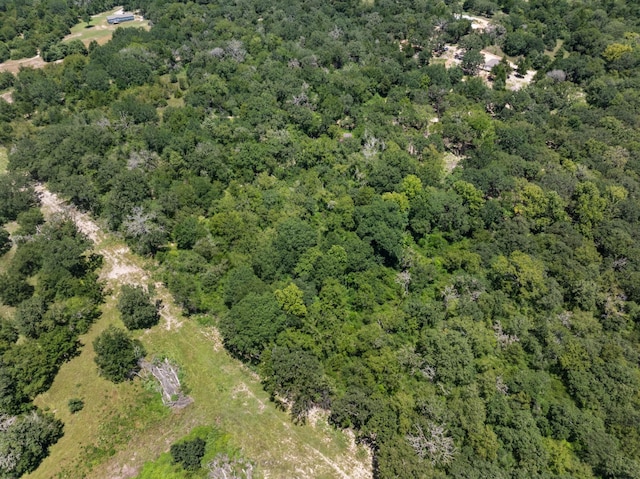 12500 Old Hearne Rd, Bryan, TX 77807 - photo 9