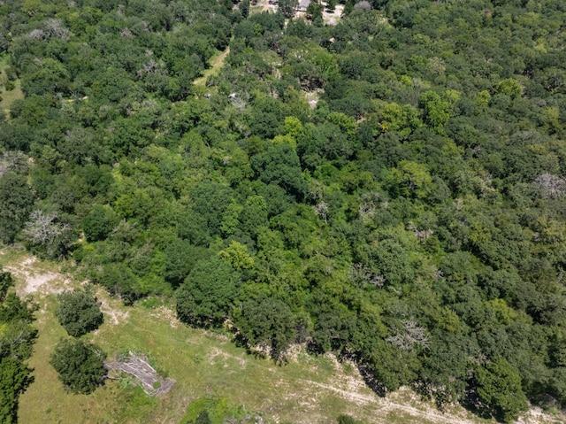 12500 Old Hearne Rd, Bryan, TX 77807 - photo 10