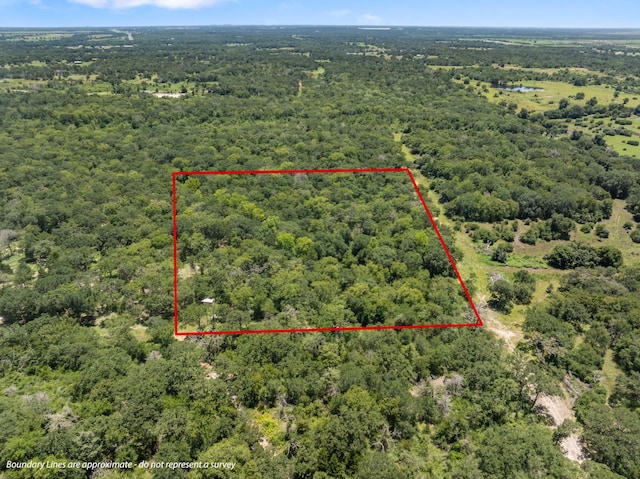 12500 Old Hearne Rd, Bryan, TX 77807 - photo 15