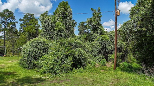 TBDLOT54 Cardinal Dr, Livingston, TX 77351 - photo 1