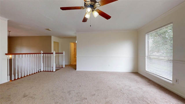 14919 Forest Trails Dr, Houston, TX 77095 - photo 33