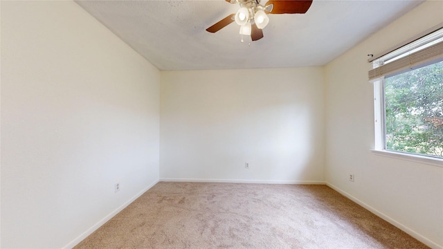 14919 Forest Trails Dr, Houston, TX 77095 - photo 41
