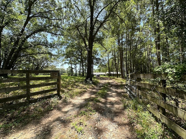 377 Hostetter Rd, New Waverly, TX 77358 - photo 2