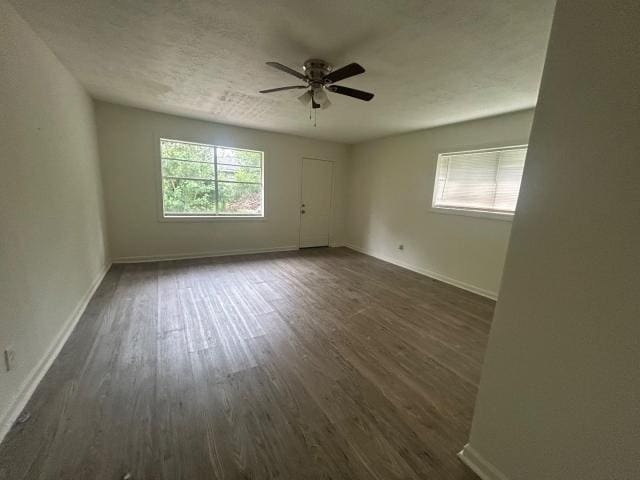 3810 Lehall St, Houston, TX 77021 - photo 6