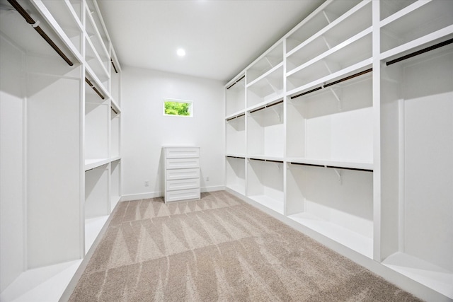 1205 Confederate Rd, Houston, TX 77055 - photo 14