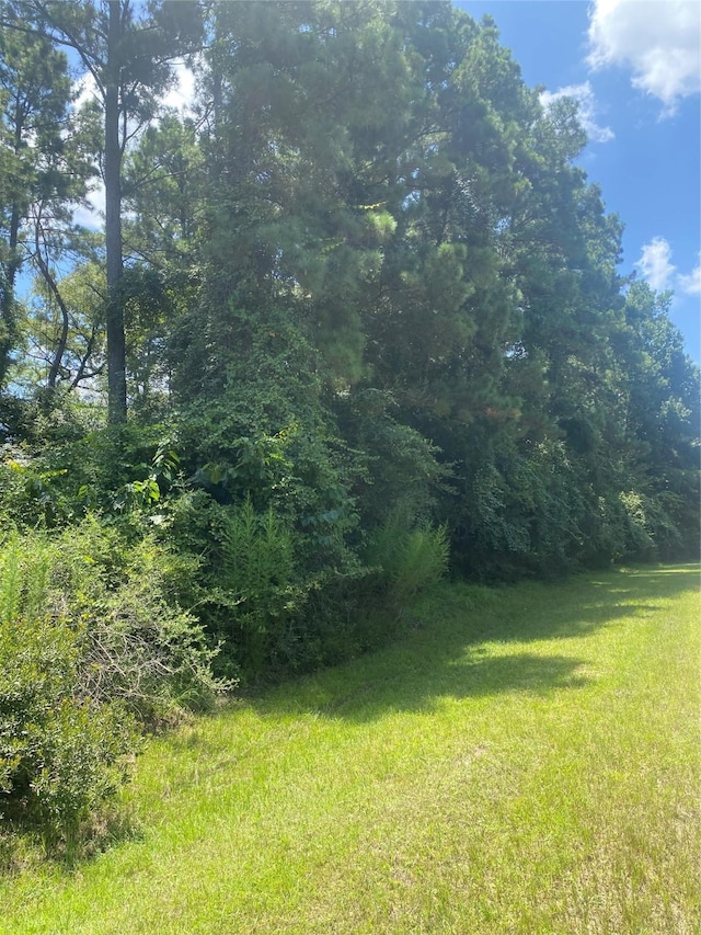 22922 Blackgum Dr, Magnolia, TX 77355 - photo 2