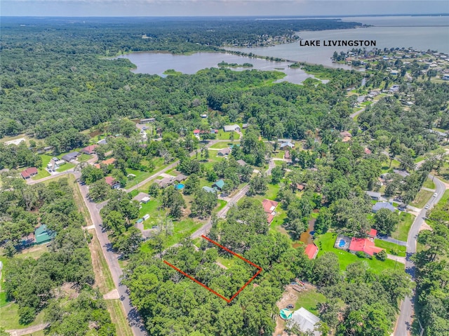 445 Knollwood Crk, Onalaska, TX 77360 - photo 25