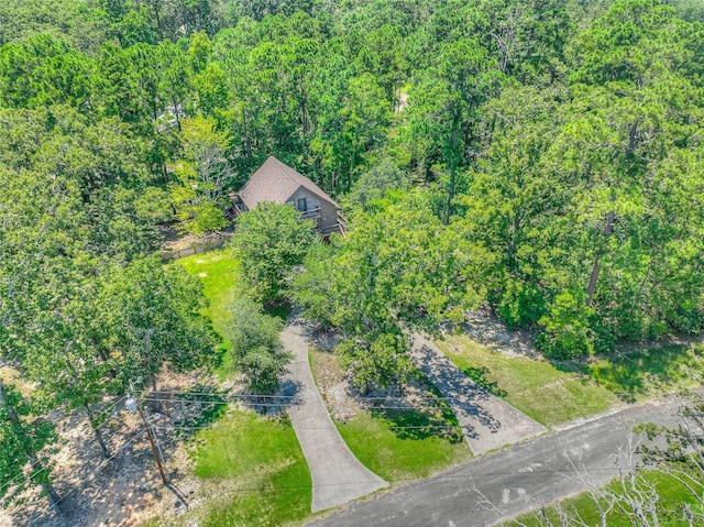 445 Knollwood Crk, Onalaska, TX 77360 - photo 33