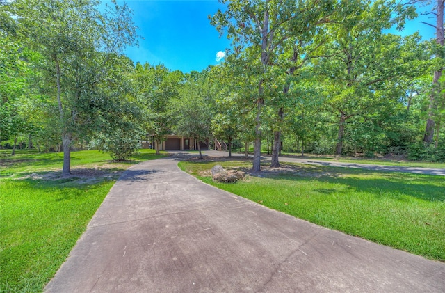 445 Knollwood Crk, Onalaska, TX 77360 - photo 37