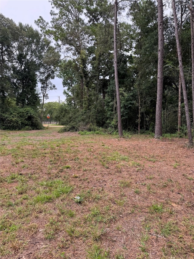 147 Neel Rd, Livingston, TX 77351 - photo 3