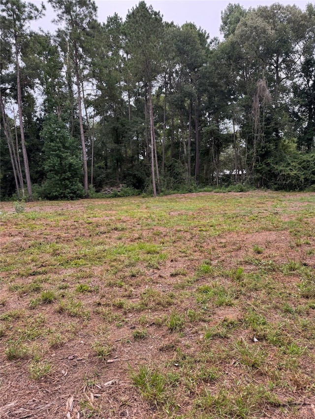 147 Neel Rd, Livingston, TX 77351 - photo 2
